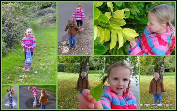 Autumn Treasure Trail 8