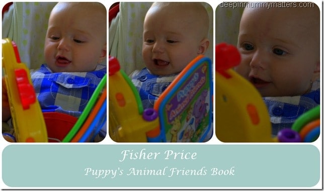 Fisher Price Animal Friends Book
