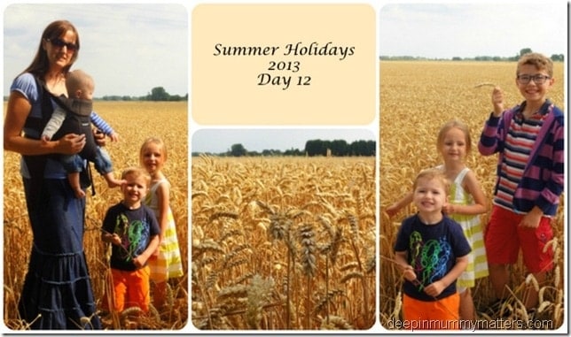 Summer Holidays