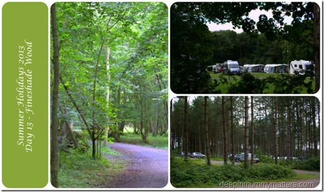 Summer Holidays 2013 – Day 13 – Fineshade Woods 4