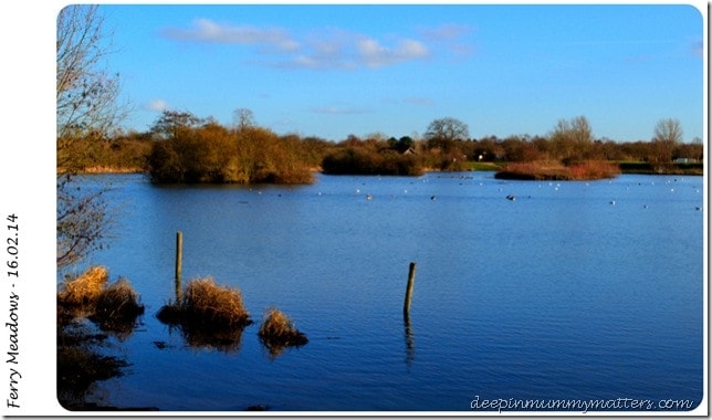 Ferry Meadows