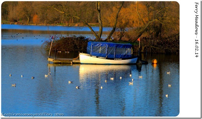 Ferry Meadows