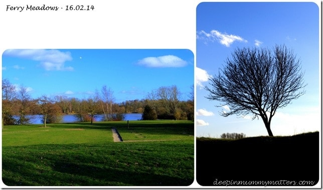 Ferry Meadows