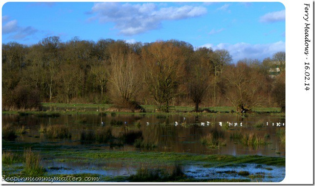 Ferry Meadows