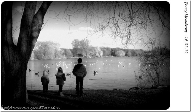 Ferry Meadows