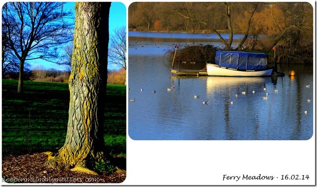 Ferry Meadows