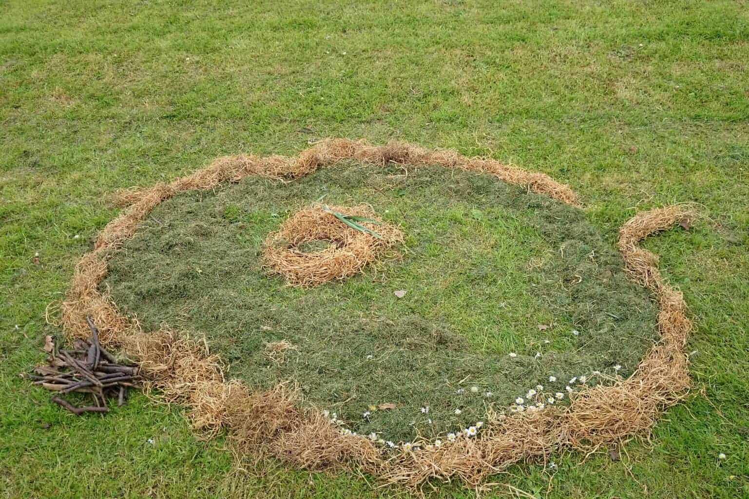 grass cuttings