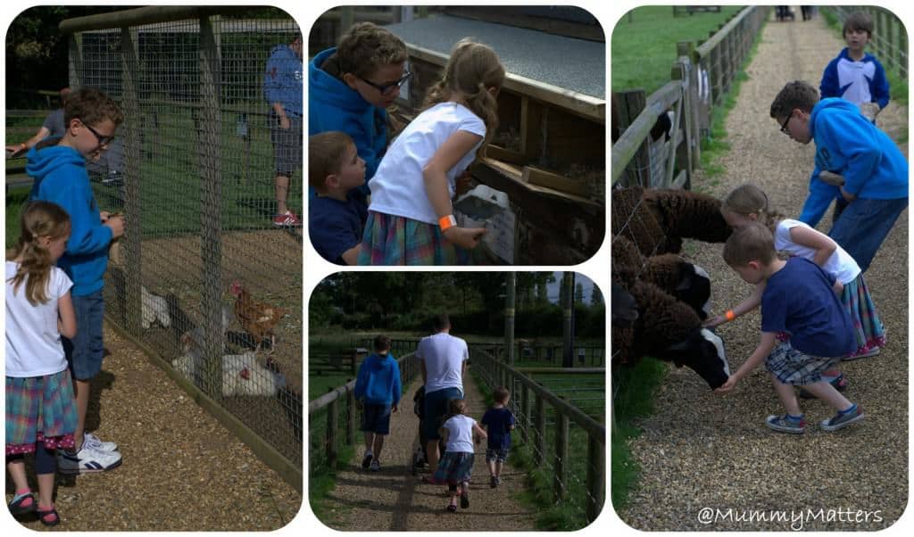 Wroxham Barns