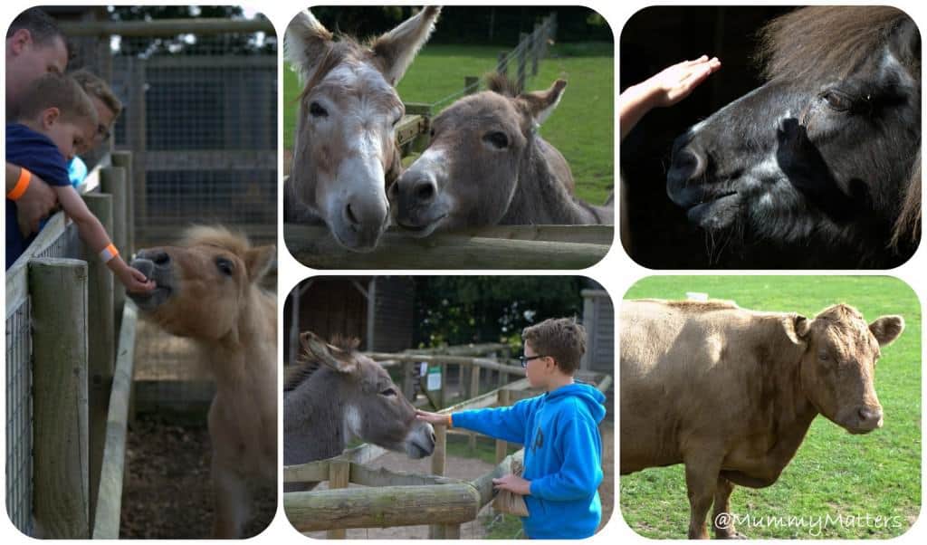 Wroxham Barns