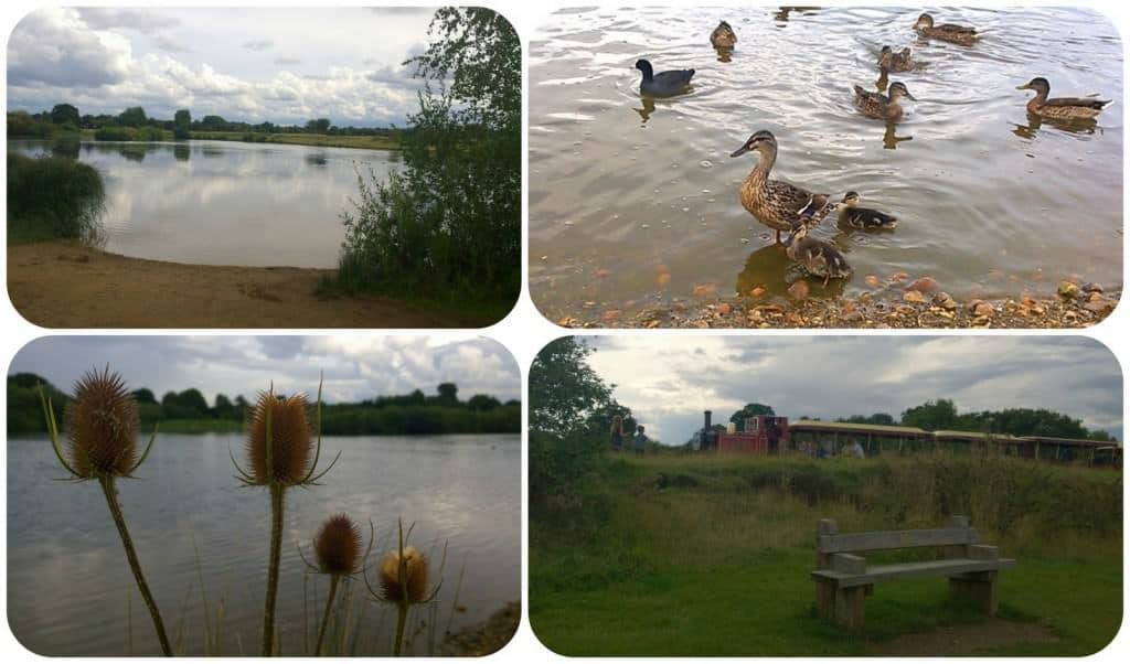 Ferry Meadows