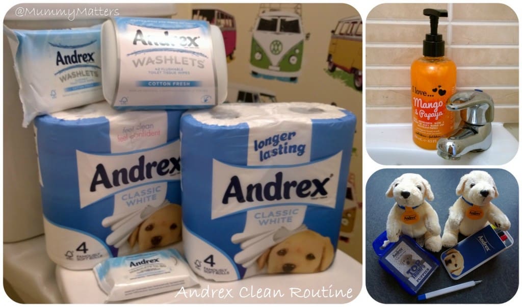 Andrex Clean Routine