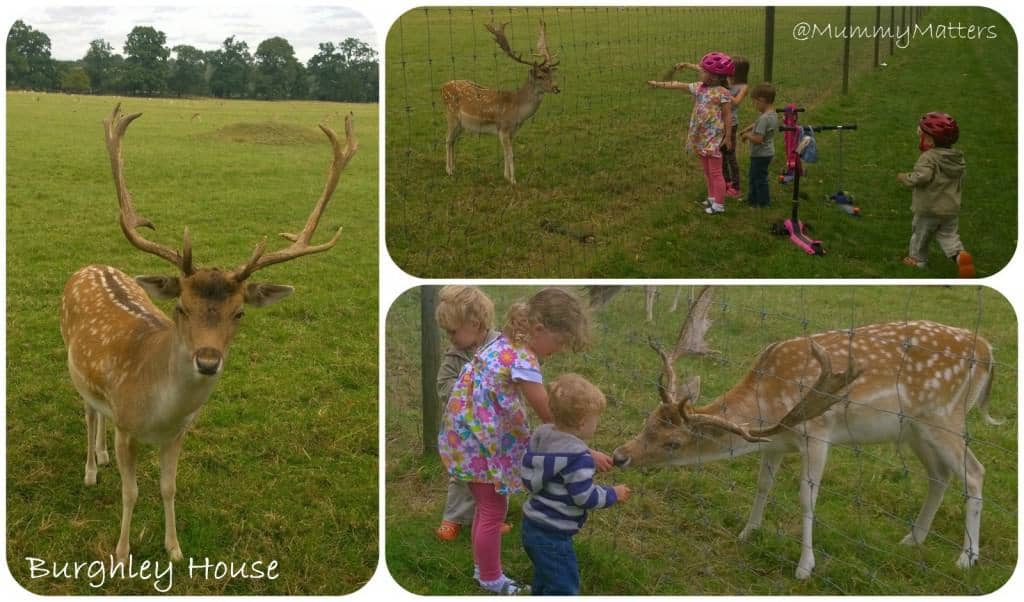 Burghley House