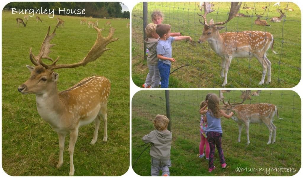 Burghley House