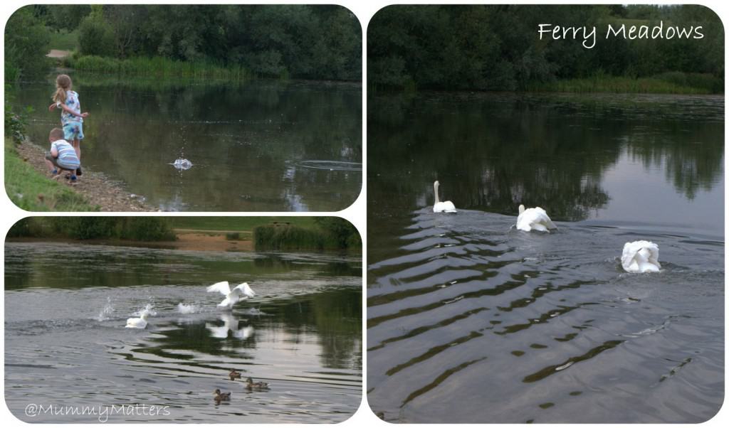 Ferry Meadows