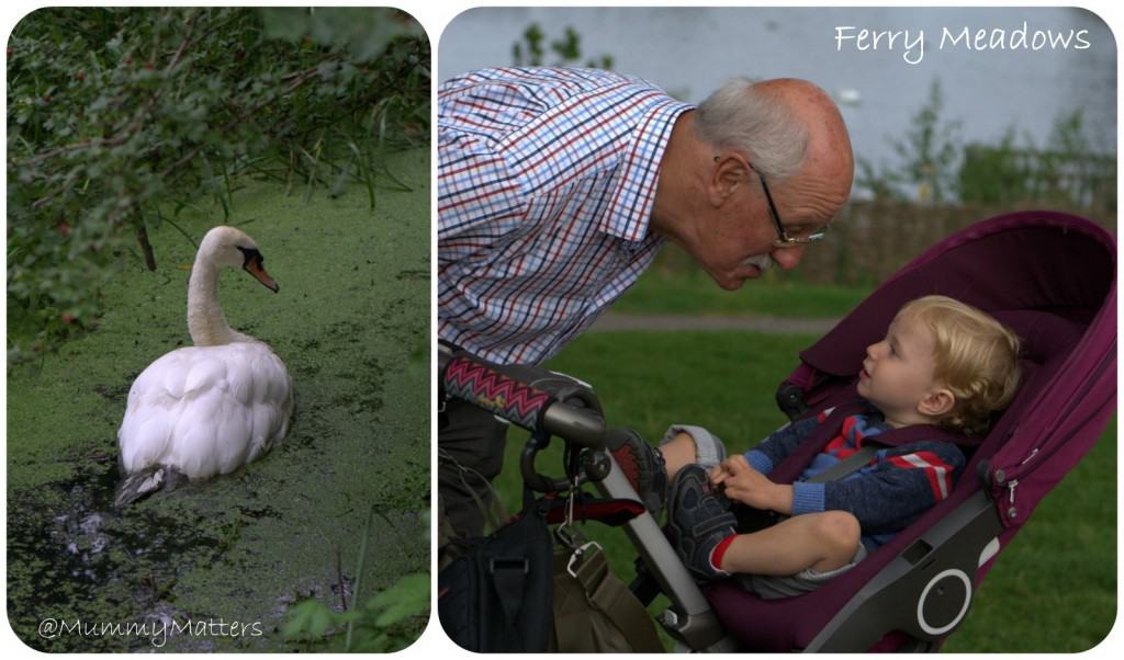 Ferry Meadows