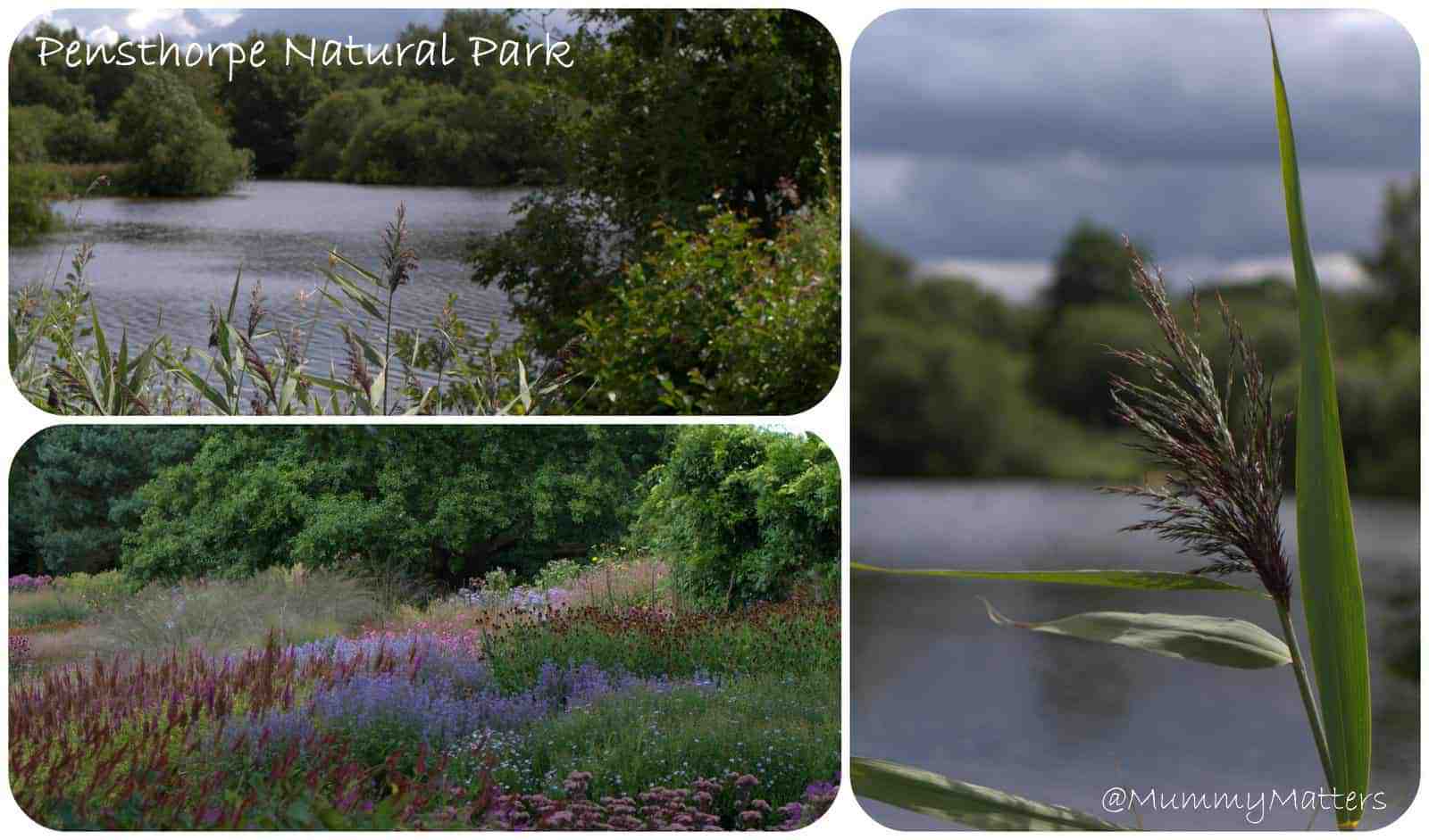 Pensthorpe