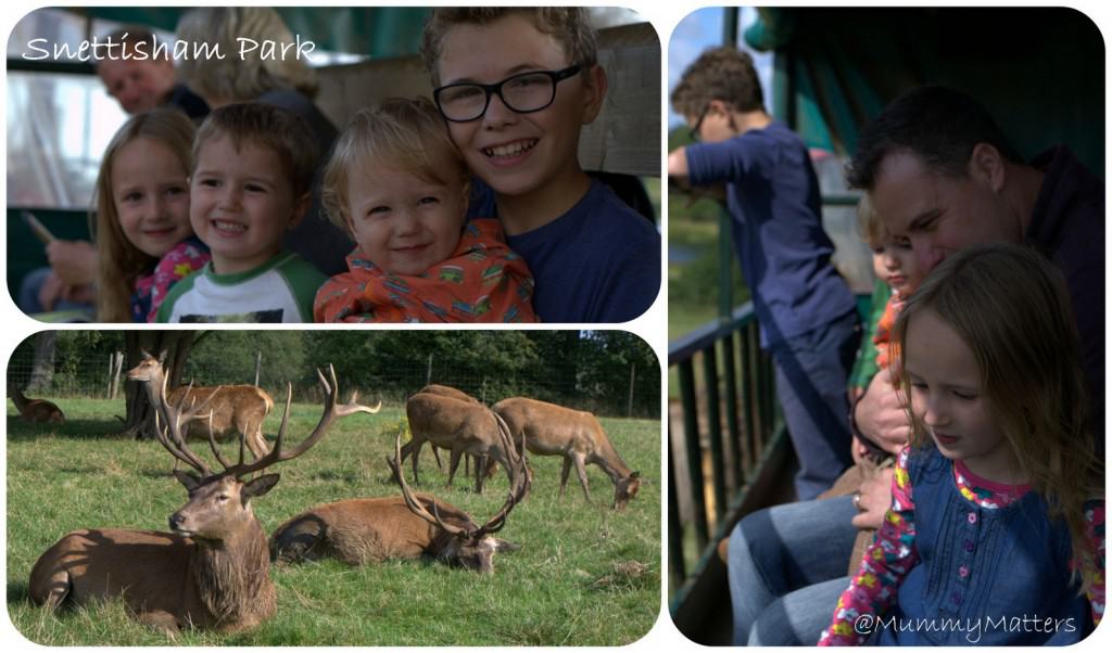 Snettisham Park