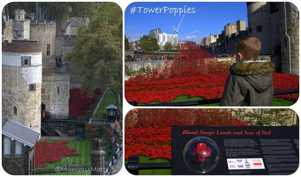 #TowerPoppies