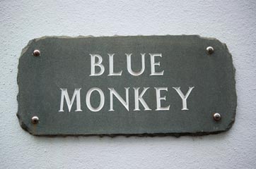 Blue Monkey sign