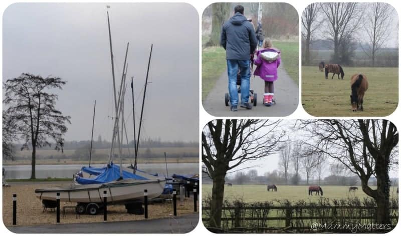 Ferry Meadows