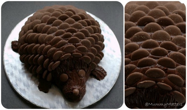 Hedgehog birthday cake