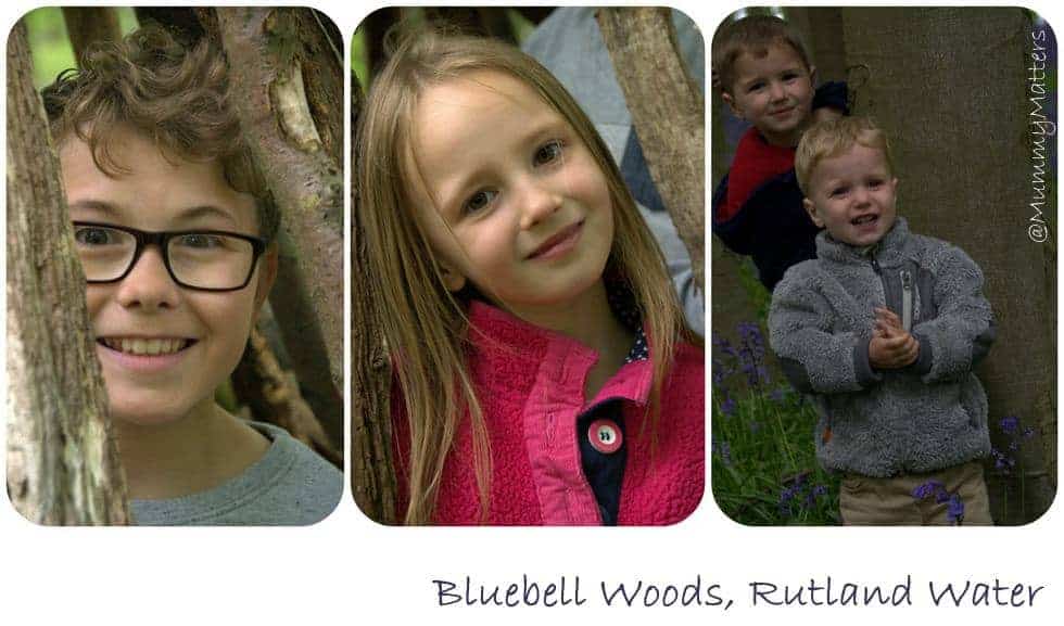 Bluebell Woods