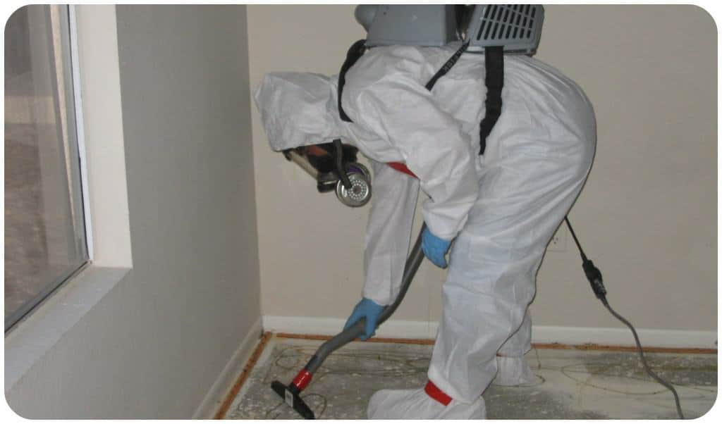 Mold remediation