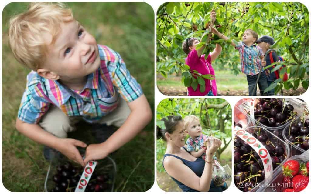 #CherryGoodPicnic