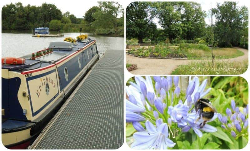 Ferry Meadows