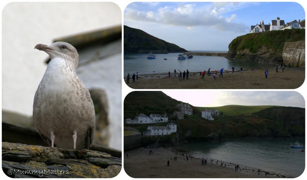 An afternoon stroll in Port Isaac, Cornwall (Doc Martin)