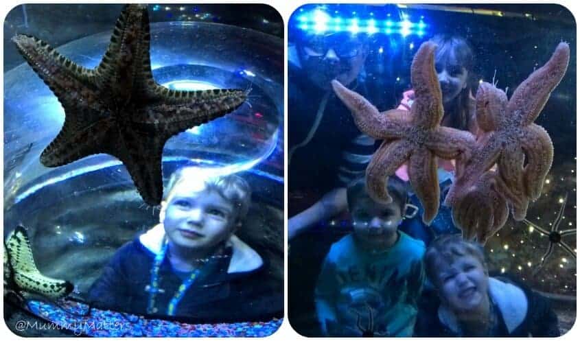 #AncientOceans Sea Life Birmingham