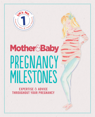 Pregnancy Milestones Book Jacket