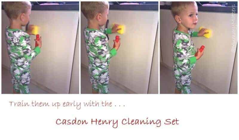 Casdon Henry Cleaning Set