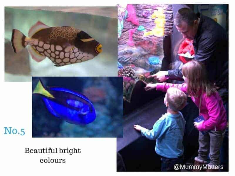 Sea Life Birmingham