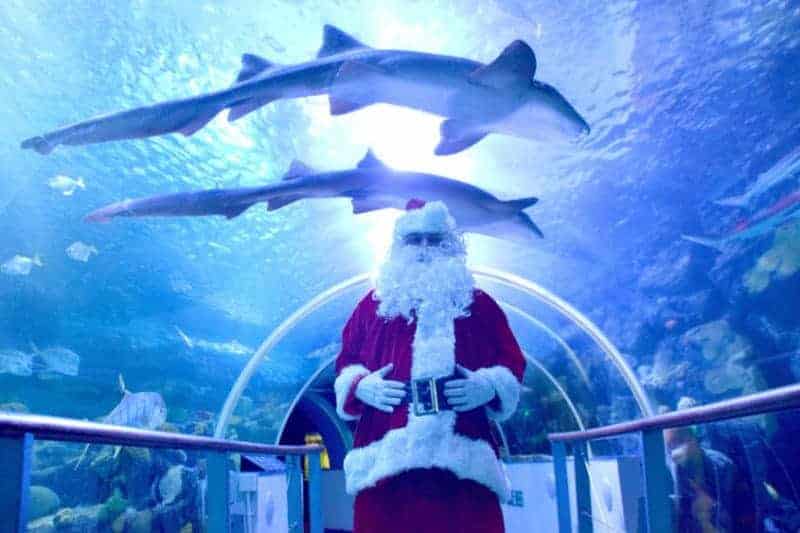 Santa in the 360 degree Ocean Tunnel at The National Sea Life Centre Birmingham