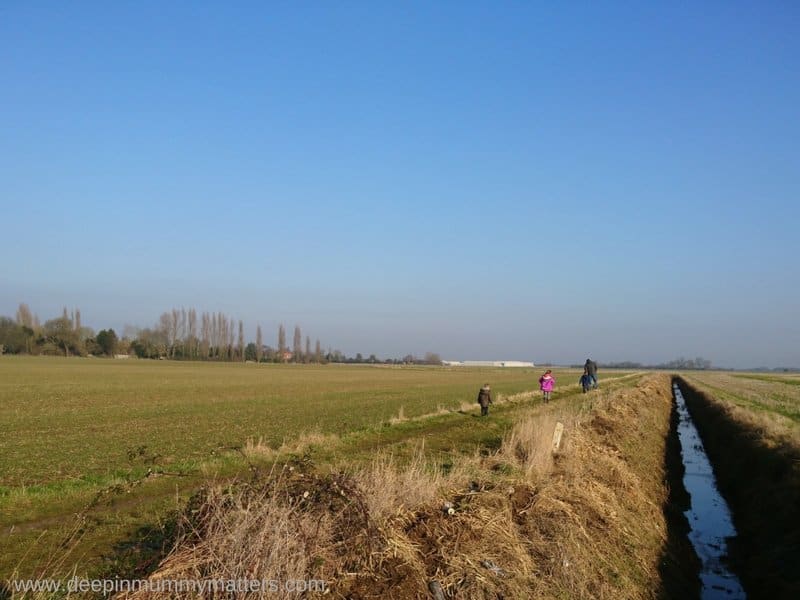 Family walk