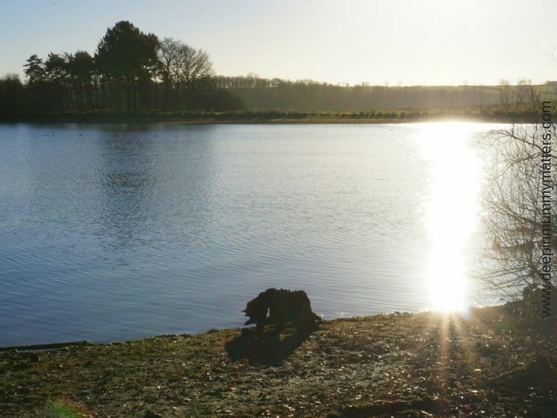 Rutland Water