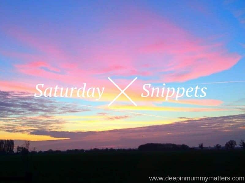 Saturday Snippets