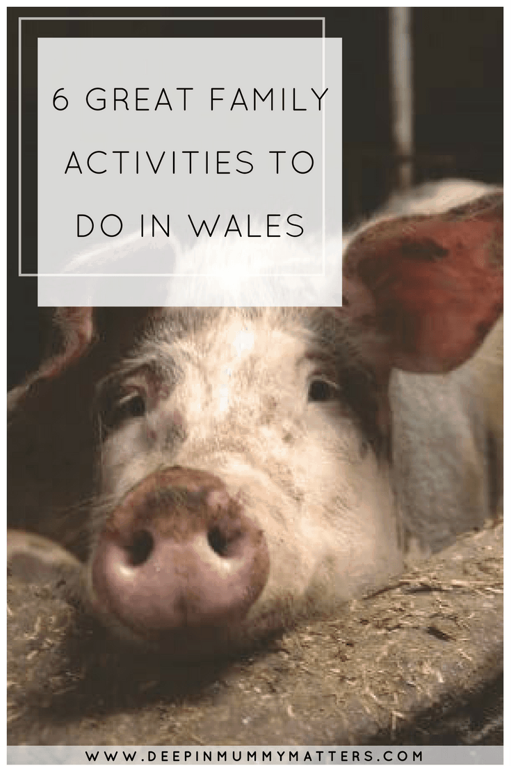 6 GREAT FAMILY ACTIVITIES TO DO IN WALES