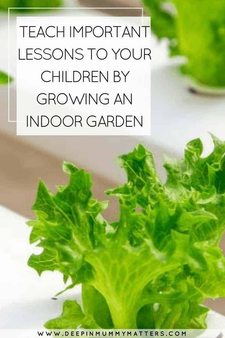 TEACH IMPORTANT LESSONS TO YOUR CHILDREN BY GROWING AN INDOOR GARDEN