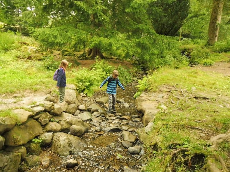 Aira Force