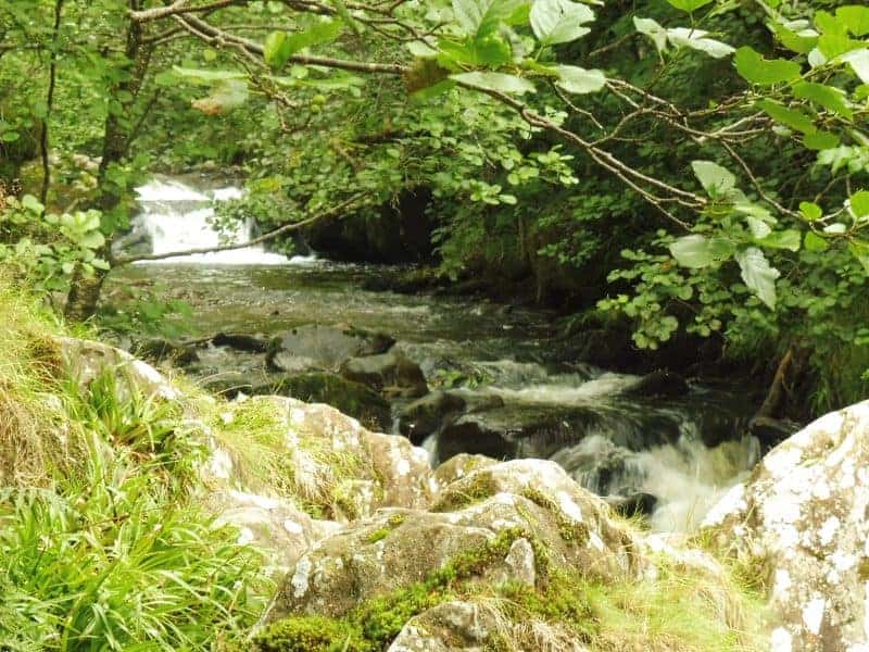 Aira Force