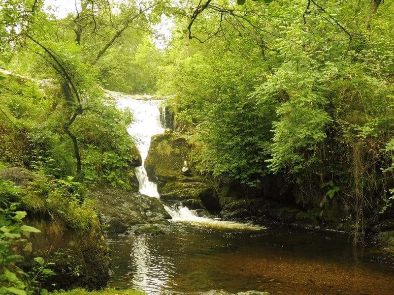 Aira Force