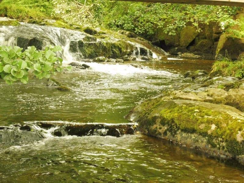 Aira Force