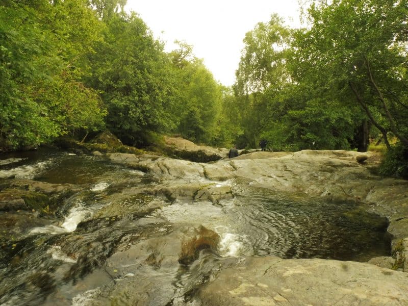 Aira Force