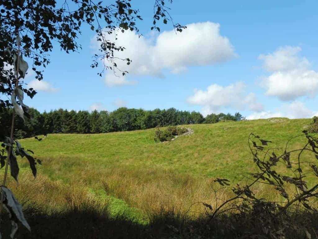 Windermere Camping and Caravanning Club Site