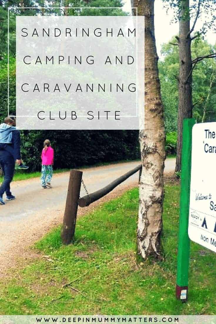 SANDRINGHAM CAMPING AND CARAVANNING CLUB SITE