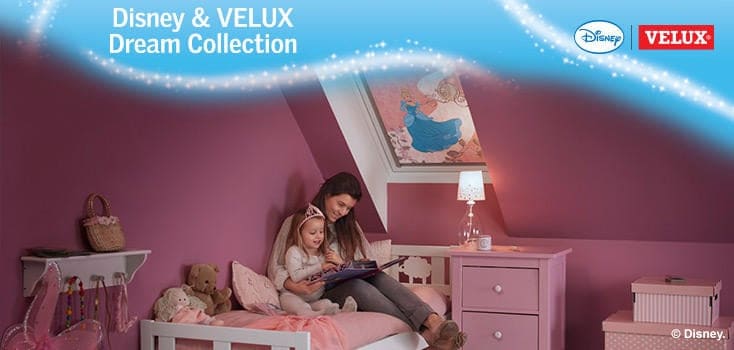 Disney Velux Blind