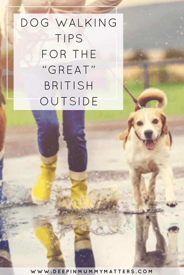 DOG WALKING TIPS FOR THE “GREAT” BRITISH OUTSIDE