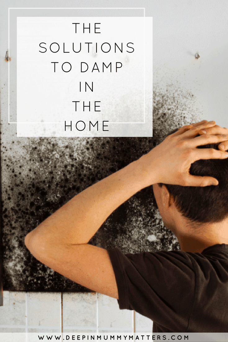 THE SOLUTIONS TO DAMP IN THE HOME